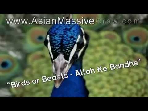 Allah Ke Bandhe - lyrics + Translation (2003)